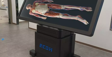 virtual dissection table