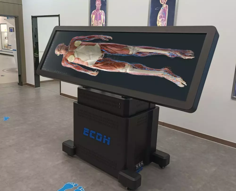 virtual dissection table