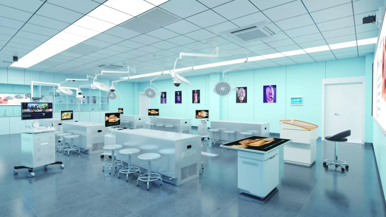 virtual anatomy table