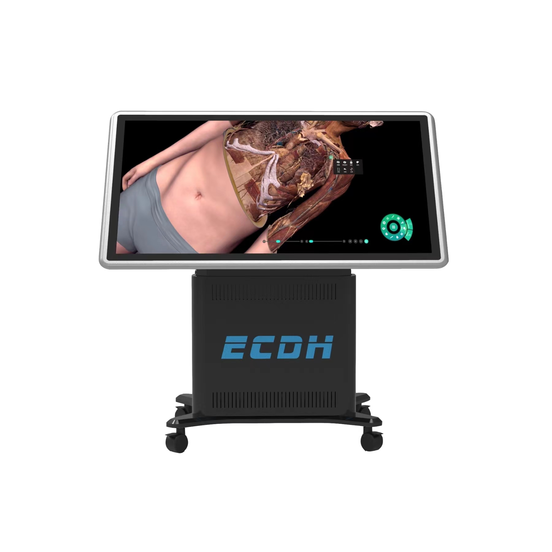 HD Digihuman Virtual Anatomy Table (65″)